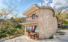 Savovic_Lux